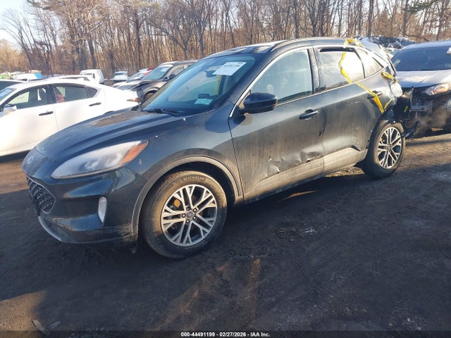 Ford Escape Sel
