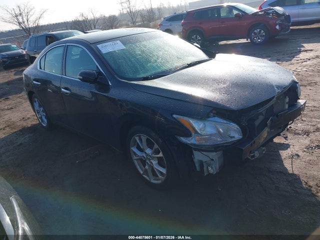 Salvage Nissan Maxima Image