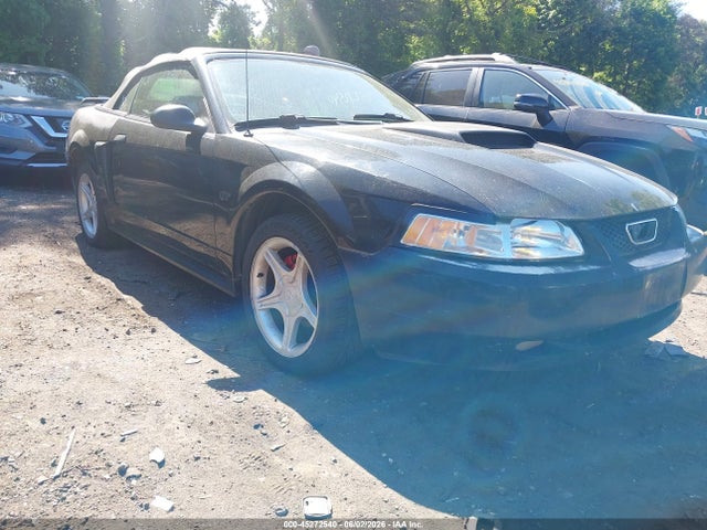 Salvage Ford Mustang Image