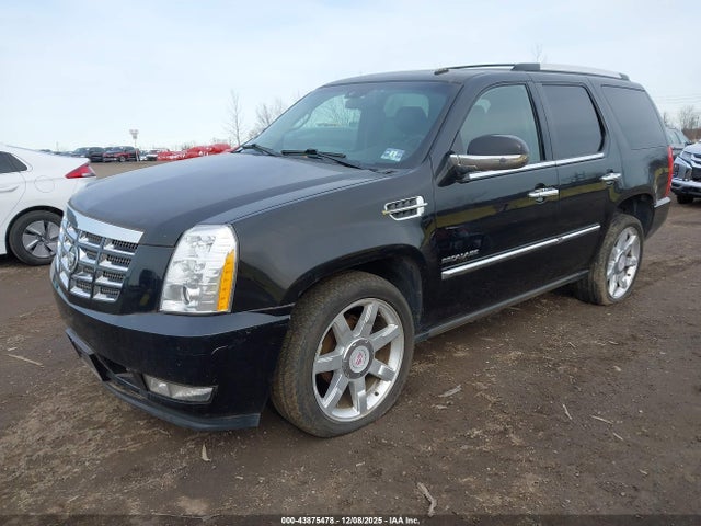 Cadillac Escalade Luxury