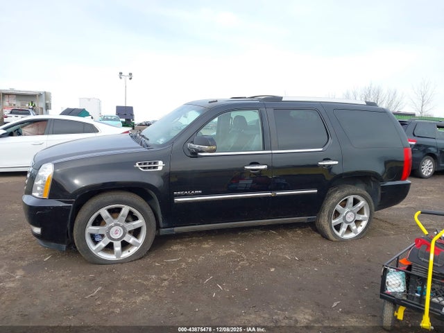 Cadillac Escalade Luxury