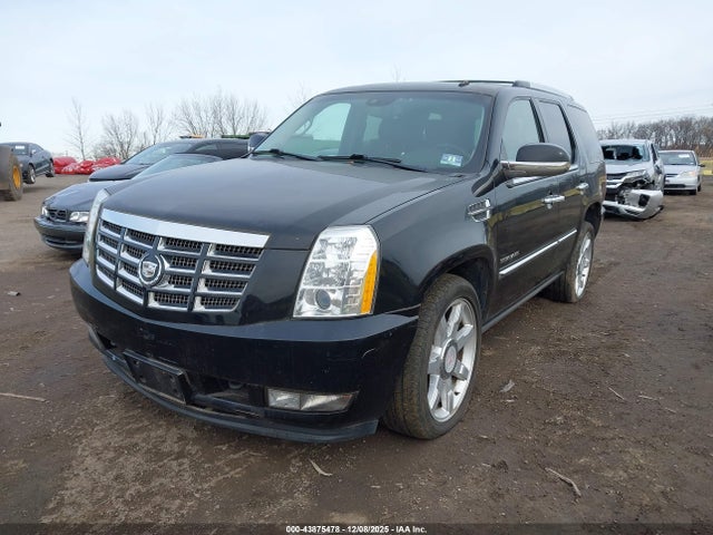 Cadillac Escalade Luxury