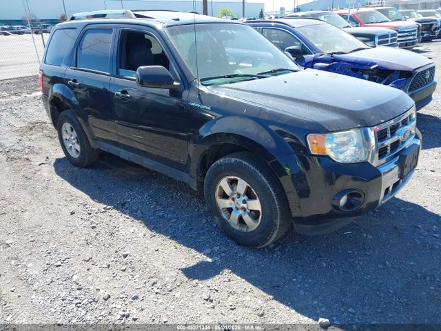 Salvage Ford Escape Image
