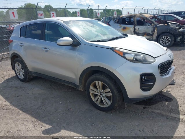 Salvage Kia Sportage Image