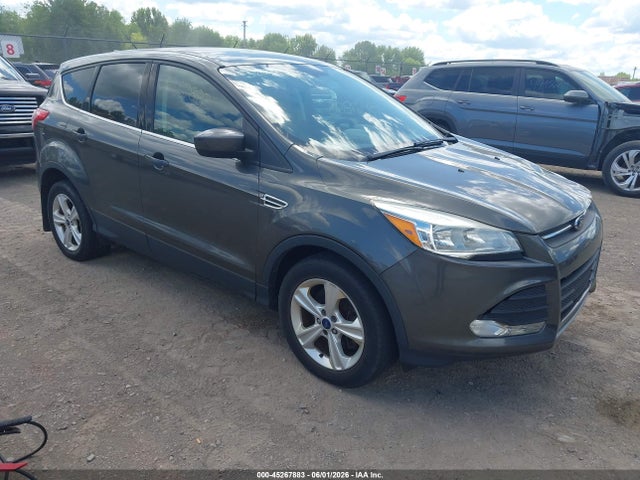Salvage Ford Escape Image