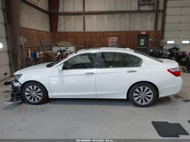 Honda Accord Ex-l