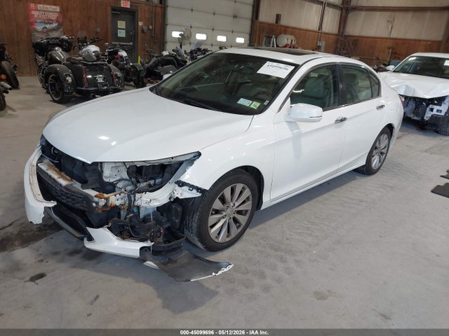 Honda Accord Ex-l