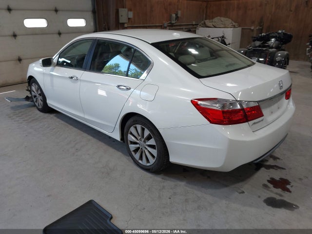 Honda Accord Ex-l