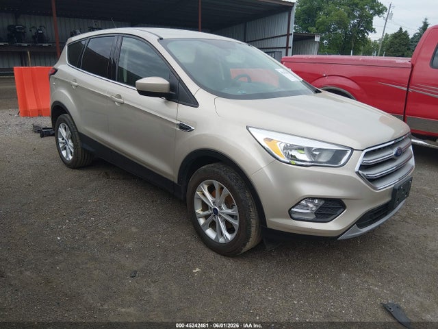 Salvage Ford Escape Image