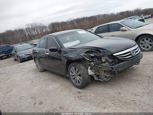 Salvage Honda Accord Image
