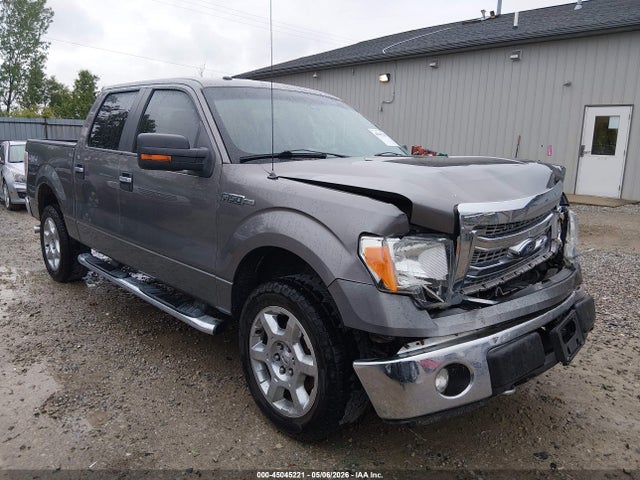 Salvage Ford F-150 Image