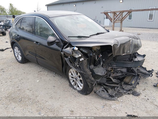 Salvage Ford Escape Image