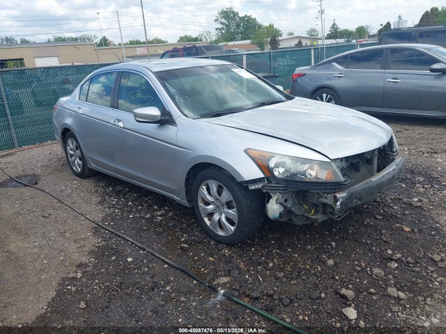 Salvage Honda Accord Image