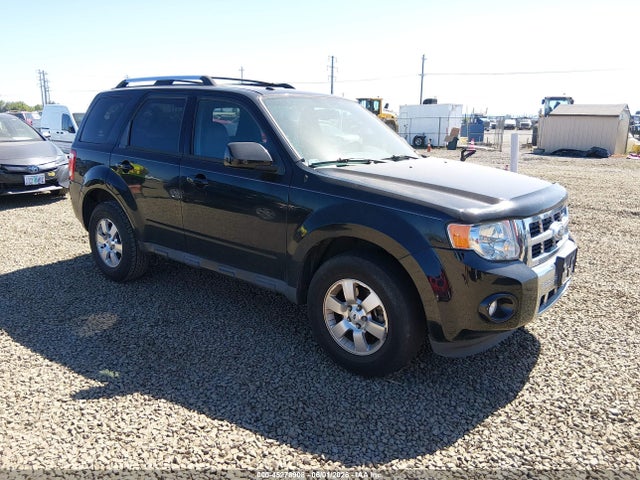 Salvage Ford Escape Image