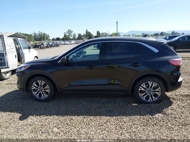 Ford Escape Sel