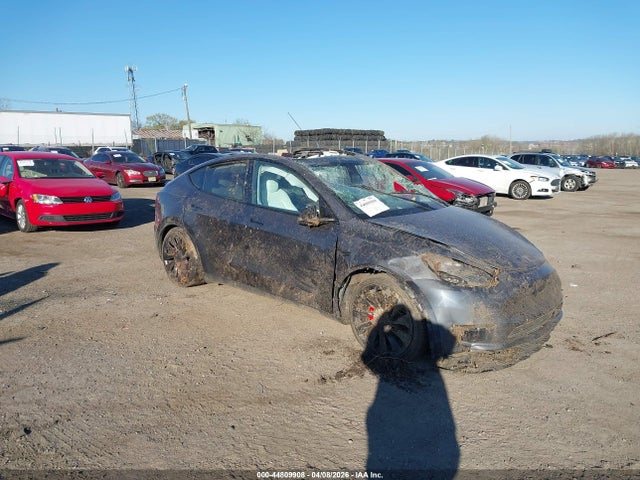 Salvage Tesla Model Y Image