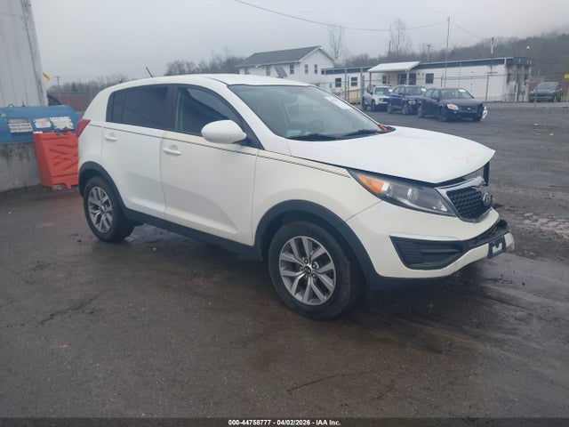 Salvage Kia Sportage Image