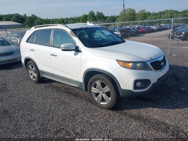 Salvage Kia Sorento Image