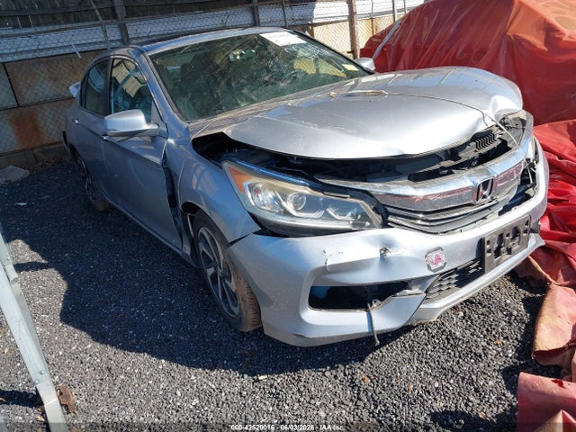 Salvage Honda Accord Image