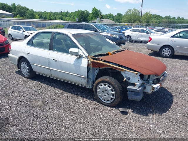 Salvage Honda Accord Image