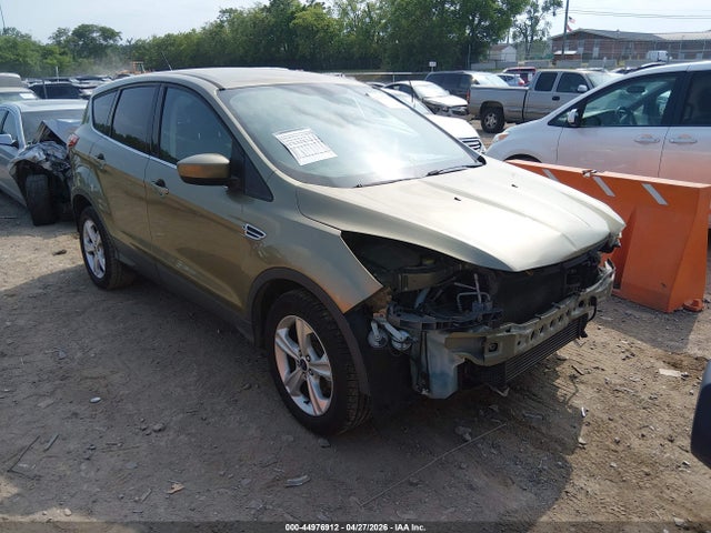 Salvage Ford Escape Image