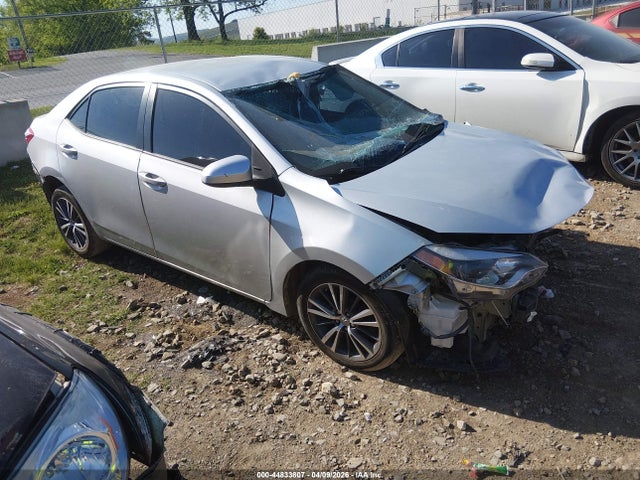 Salvage Toyota Corolla Image