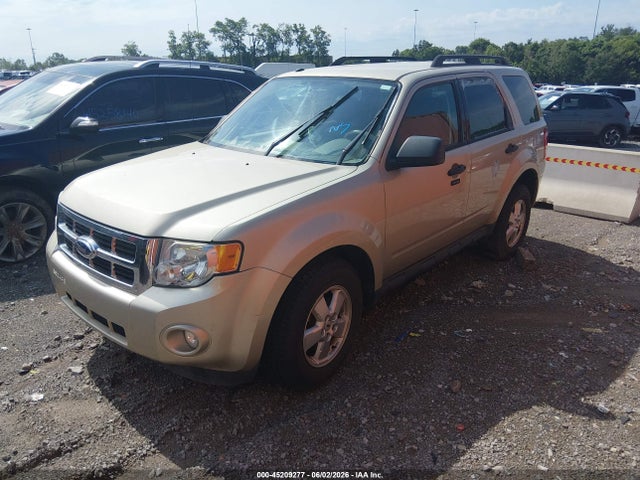 Ford Escape Xlt