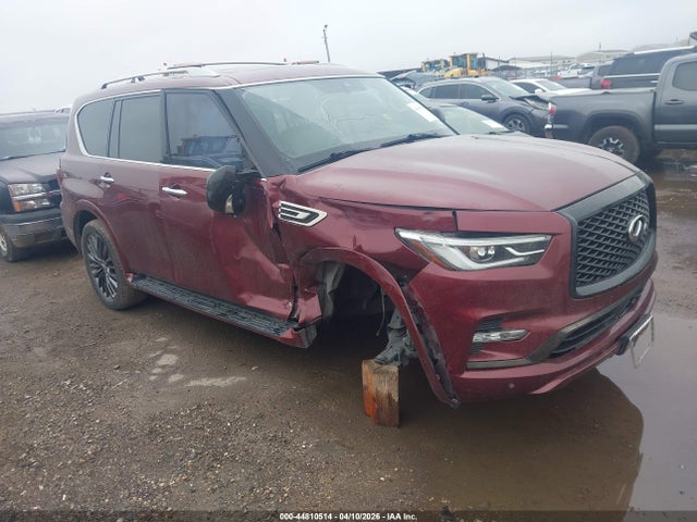 Salvage INFINITI Qx Image