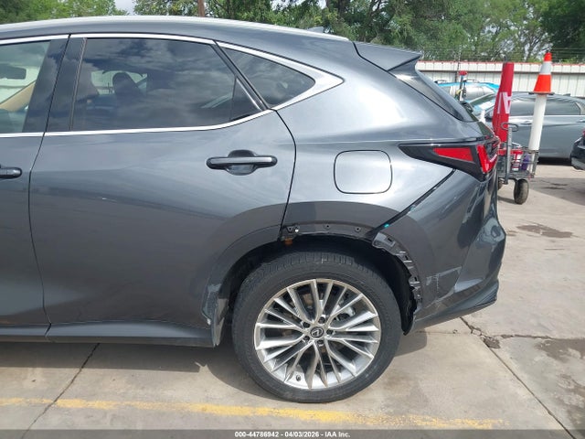 Lexus NX Premium