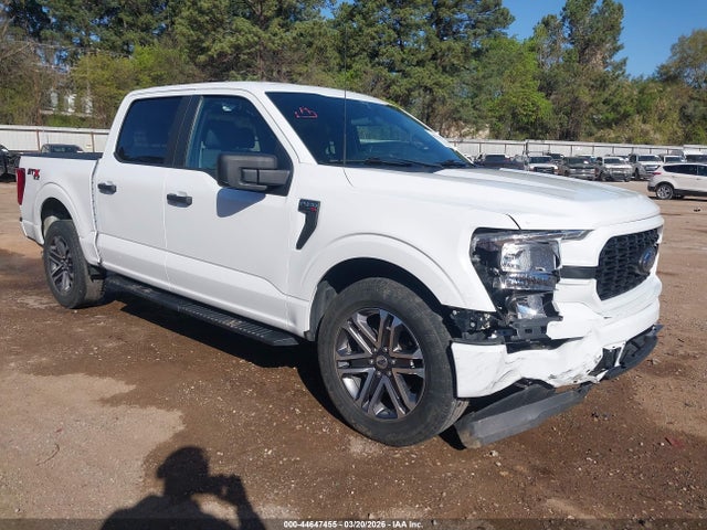 Salvage Ford F-150 Image