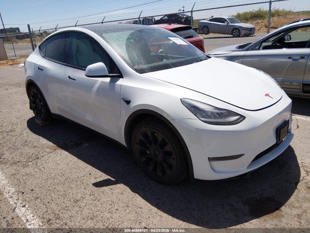 Salvage Tesla Model Y Image