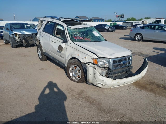 Salvage Ford Escape Image