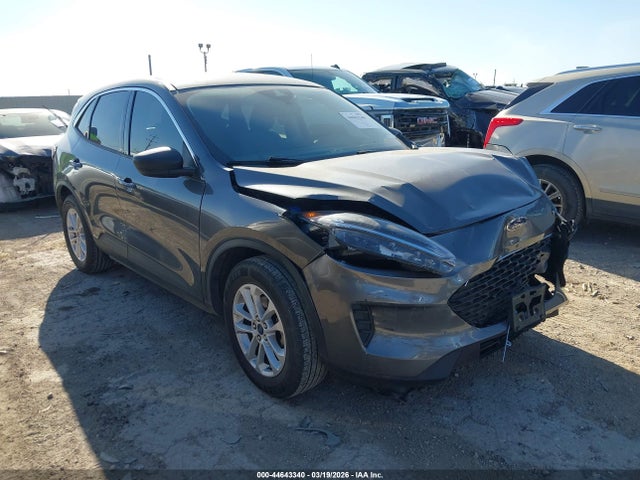 Salvage Ford Escape Image