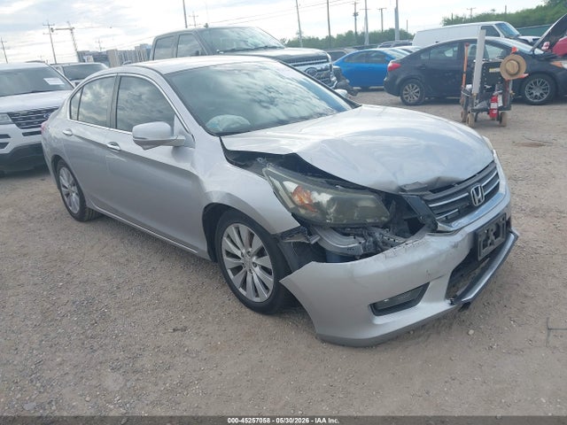 Salvage Honda Accord Image