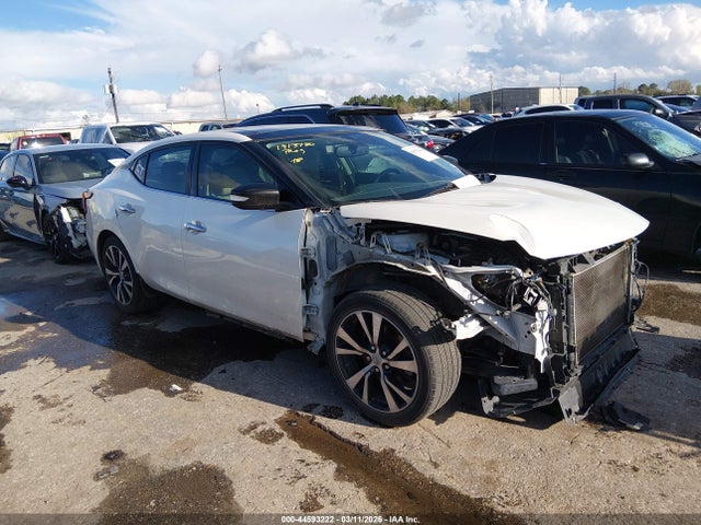 Salvage Nissan Maxima Image