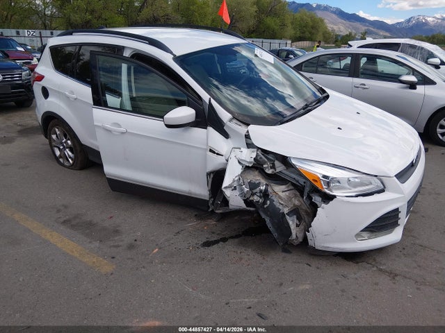 Salvage Ford Escape Image