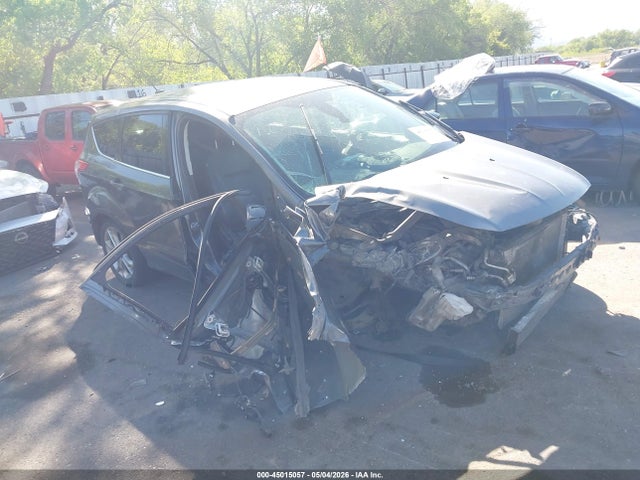 Salvage Ford Escape Image