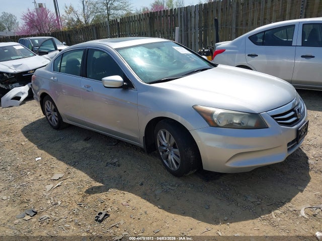 Salvage Honda Accord Image