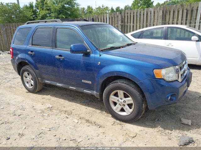 Salvage Ford Escape Image