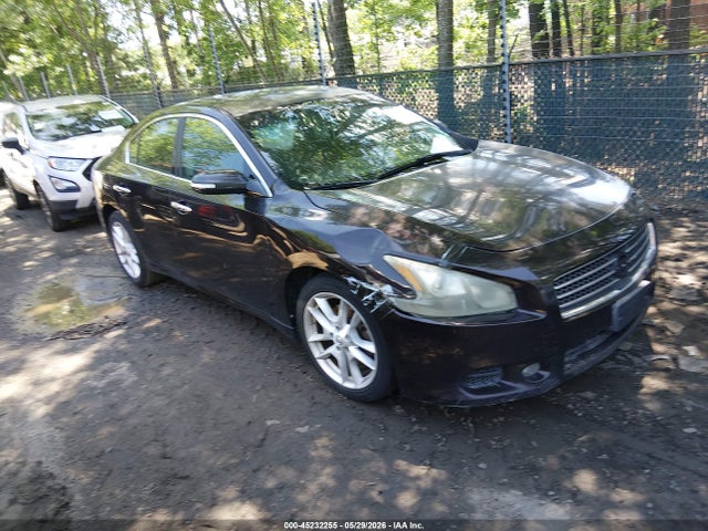 Salvage Nissan Maxima Image