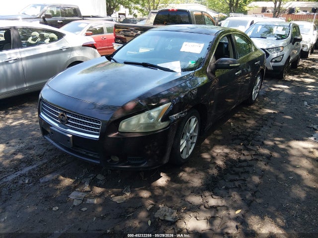 Nissan Maxima 3.5 Sv
