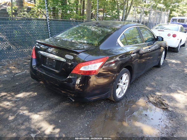Nissan Maxima 3.5 Sv
