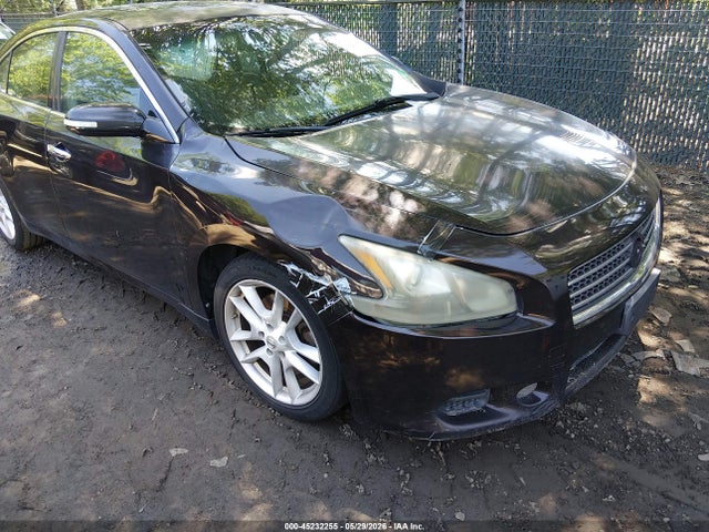 Nissan Maxima 3.5 Sv