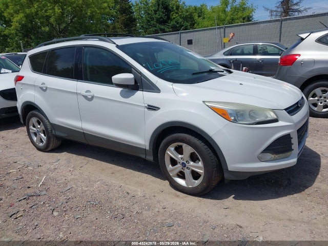 Salvage Ford Escape Image