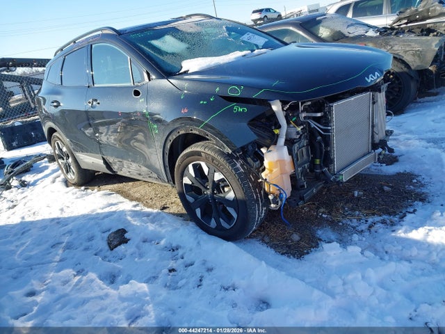 Salvage Kia Sportage Image