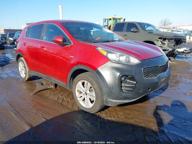 Salvage Kia Sportage Image