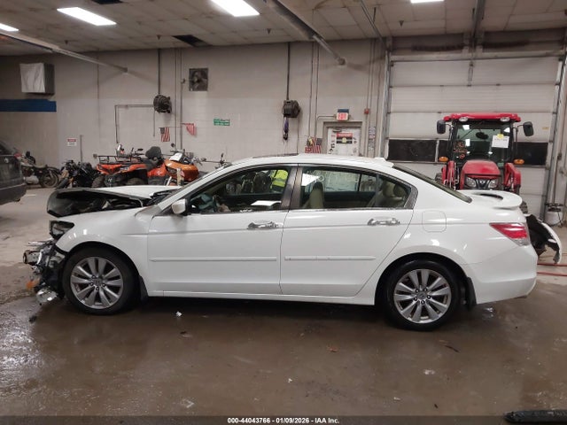Honda Accord 3.5 Ex-l