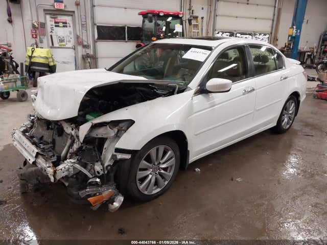 Honda Accord 3.5 Ex-l