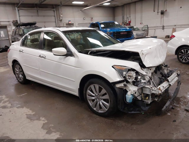 Salvage Honda Accord Image