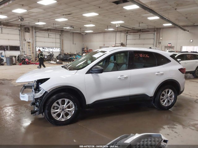 Ford Escape Active